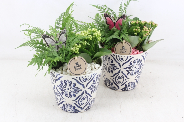 <h4>arr2 PL - Ker. pot delft blauw - roze/wit</h4>