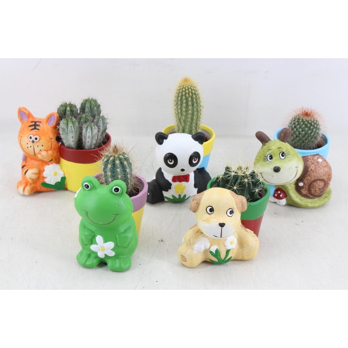 <h4>Arr3 Ub - Ker. Animal Mix X10 Cactus</h4>