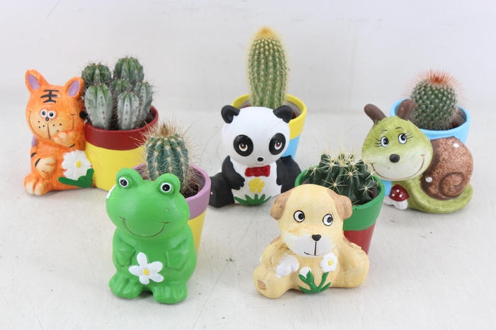 <h4>arr3 UB - Ker. animal mix x10 cactus</h4>
