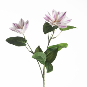 AF Clematis Spray x3 L36cm Whi