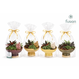 Keramiek schaal Medium met Groenen planten