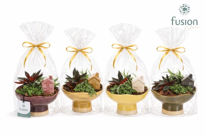 <h4>Keramiek schaal Medium met Groenen planten</h4>