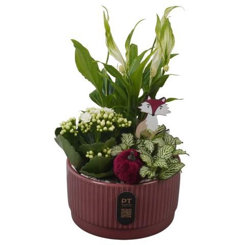 <h4>PTHI3209 Arrangement Autumn Indoor in keramiek schaal</h4>