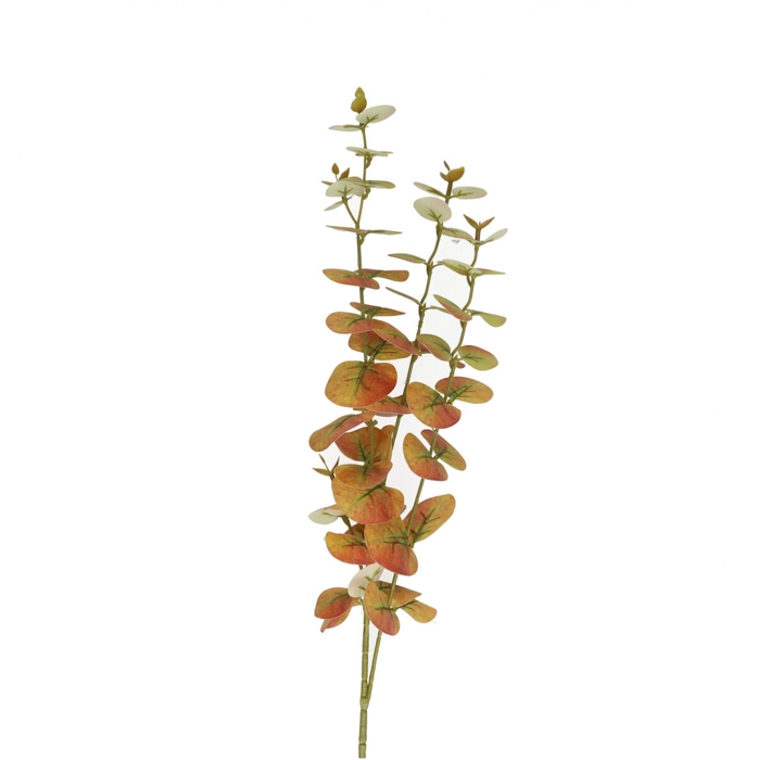 <h4>Kunstbloemen Eucalyptus 80cm</h4>