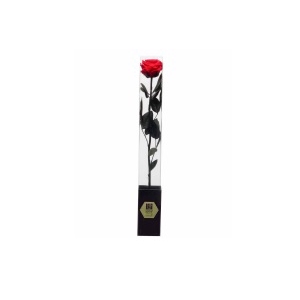 Rose on stem 50h Red Passionate pres.