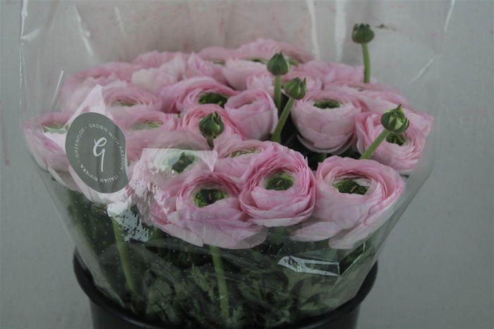 <h4>Ran Cloni Sup Confetto San Mauro</h4>