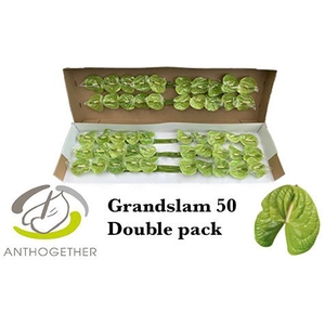 ANTH A GRAND SLAM 50 Smart Pack