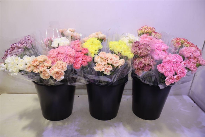 <h4>Di St Gem In Fust X10</h4>