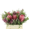 Kaaps Bouquet Single Protea Mix