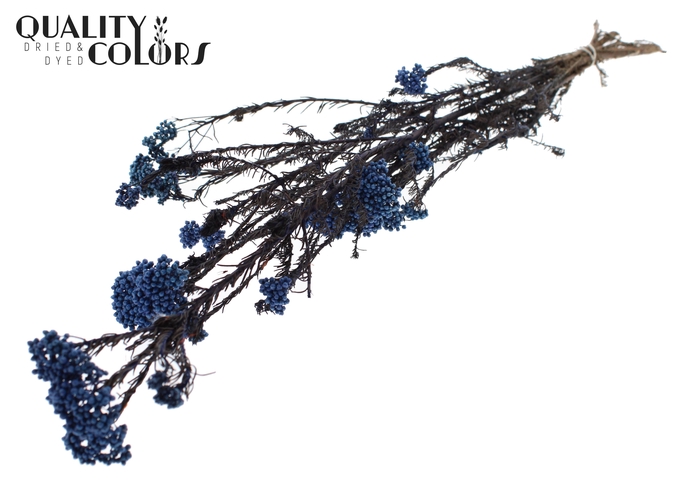 Rice Flower Preserved per bunch Blue