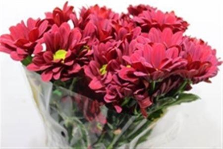 <h4>Chr T Barolo</h4>