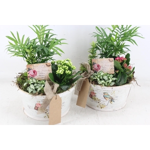 arr2 TD - Schaal rond bird - roze/wit