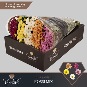 Chr S Rossi Mix