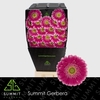 Germini Wonderwall Diamond per kaart