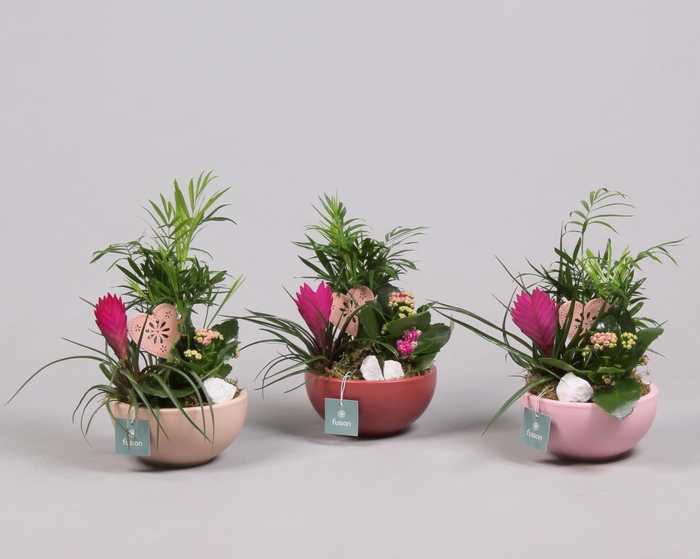 <h4>Schaal keramiek Moon Small Love met arrangement</h4>