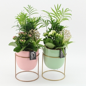 ESCR-2605M Essentials