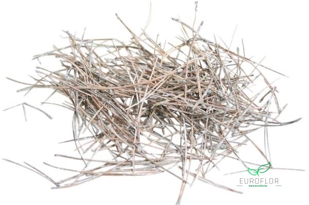 PINE NEEDLE WHITE WASH 1KG