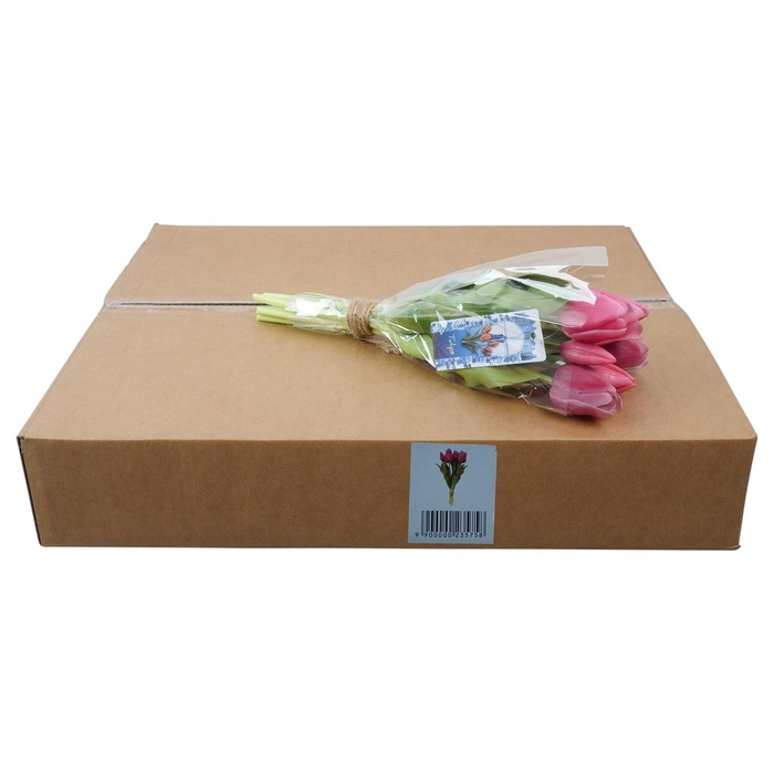 <h4>KUNSTBLOEM H%</h4>