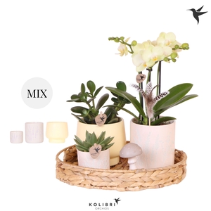 Kolibri Gift Set Easter