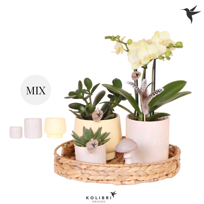 <h4>Kolibri Gift Set Easter</h4>