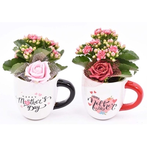 Keramiek mok ´Mothers Day´ 12cm