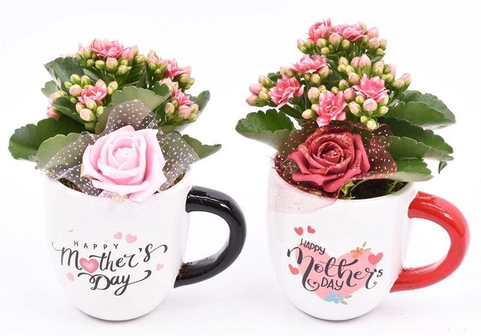 <h4>Keramiek mok ´Mothers Day´ 12cm</h4>