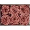 Ro Pres Classic Pink Dusty