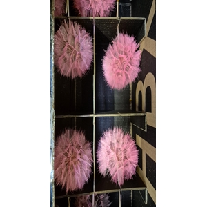 Y PRES PUSTE FLOWER PINK