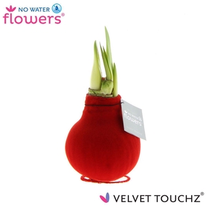 No Water Flowers Velvet Touchz® Red