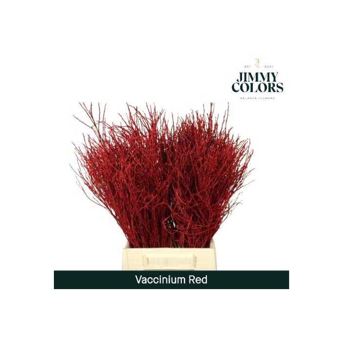 <h4>Vaccinium L50 Klbh. Rood</h4>