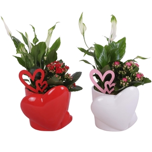 Valentine Arr. Indoor Ceramic Heart Pot Red/White Ø16cm 2PP