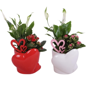 Valentine Arr. Indoor Ceramic Heart Pot Red/White Ø16cm 2PP