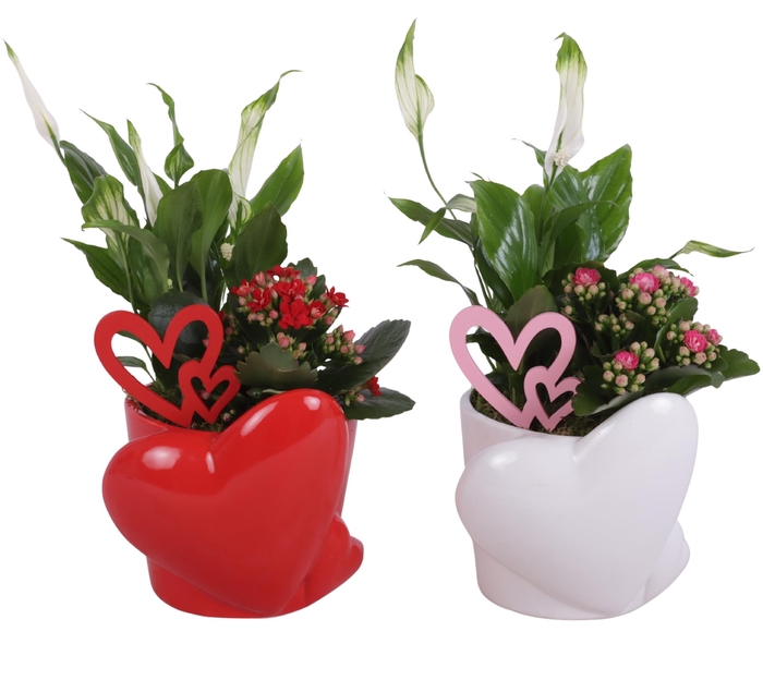 <h4>Valentine Arr. Indoor Ceramic Heart Pot Red/White Ø16cm 2PP</h4>