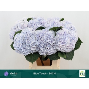 HYDR M MY PINKTOU BL