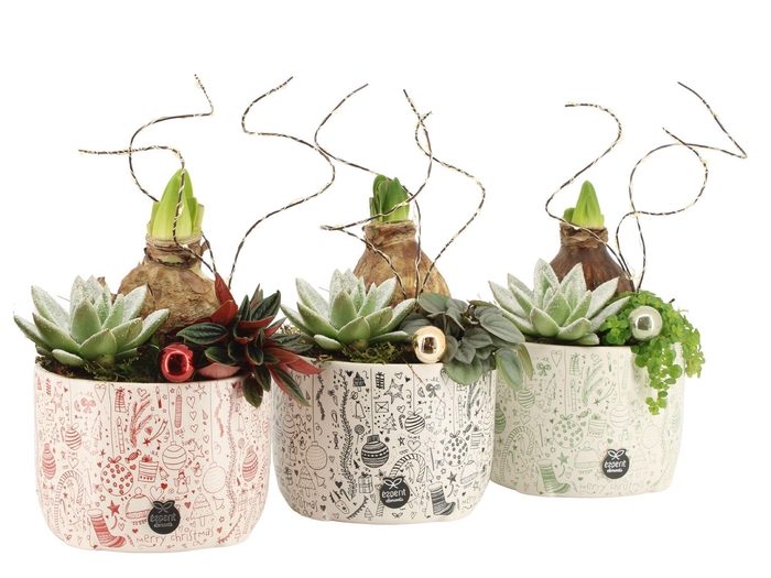 <h4>61596: X-mas arrangement</h4>