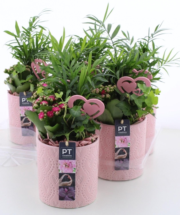 <h4>ARR KAMERPL</h4>