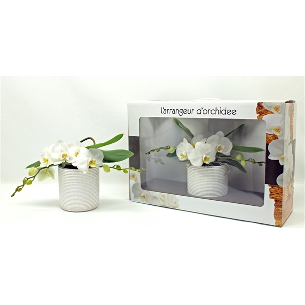 <h4>L'arrangeur D'orchidee (GROEN)</h4>