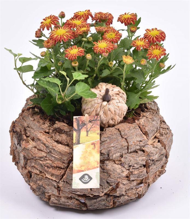 <h4>Bomschors rond 13x18cm</h4>