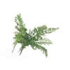 ASPARAGUS BUSH GREEN GR110048GRN L45