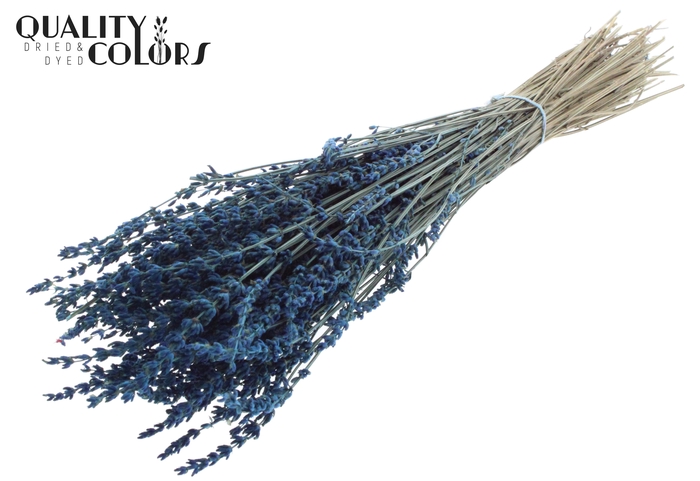 Lavendel 100gr SUPER Blue per bunch