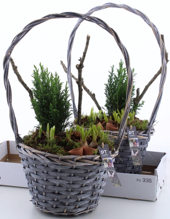 <h4>ARR PL IN SCHAAL</h4>