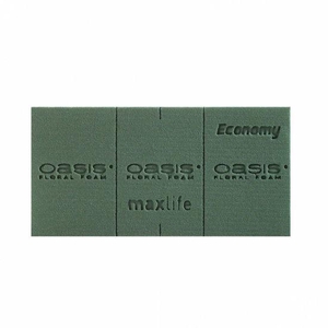 Oasis Block Economy 20x10x7cm