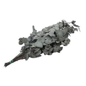 Bunch Euca Cinerea Pres. 150g L65
