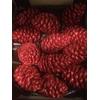 DECO PINECONE O/ST NATURAL X5 BUNCH