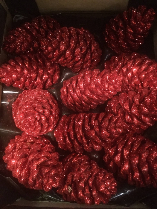 DECO PINECONE O/ST NATURAL X5 BUNCH
