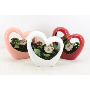 arr2 PL - Ker. hart frame mix 968/6