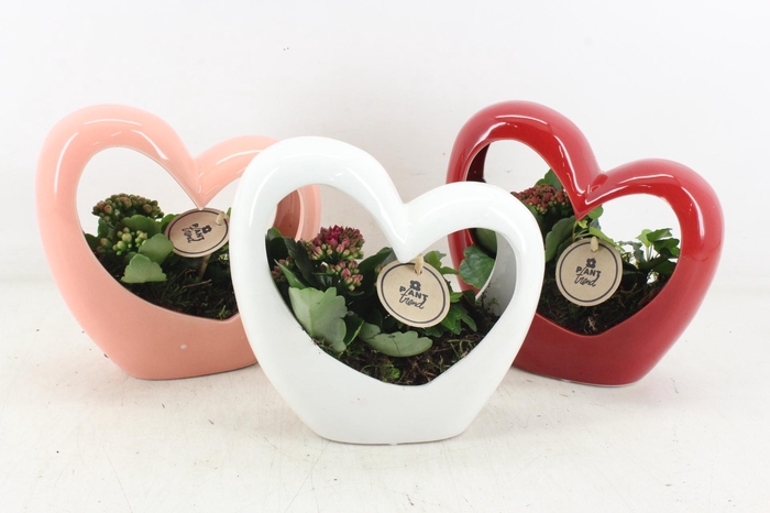 <h4>arr2 PL - Ker. hart frame mix 968/6</h4>