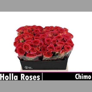 R Tr Chimo