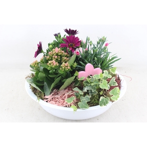 arr4 Outdoor MB - Zink schaal white Los