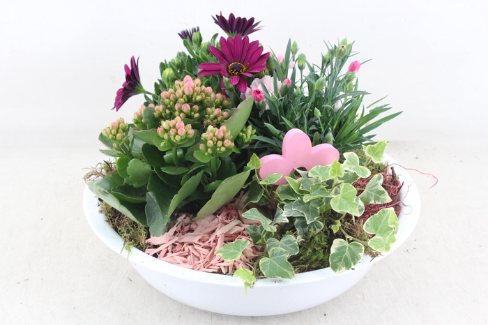 <h4>arr4 Outdoor MB - Zink schaal white Los</h4>